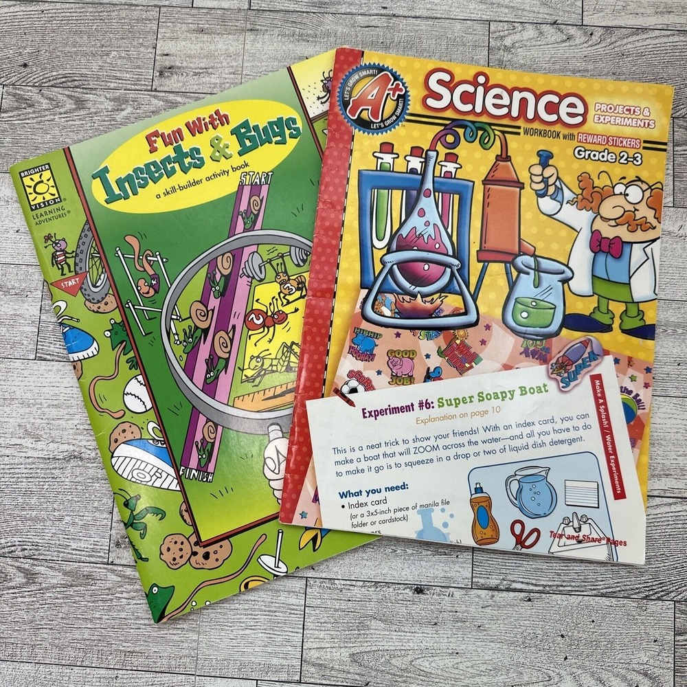 WORKBOOKS Lot of 2 Fun Skill Builders - Science Insects Bugs - Grades 2-3 - NEW - Picture 10 of 15